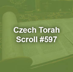Czech Torah Scroll #597